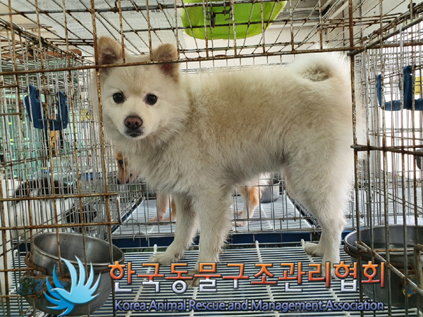 한국동물구조관리협회_411301202300269